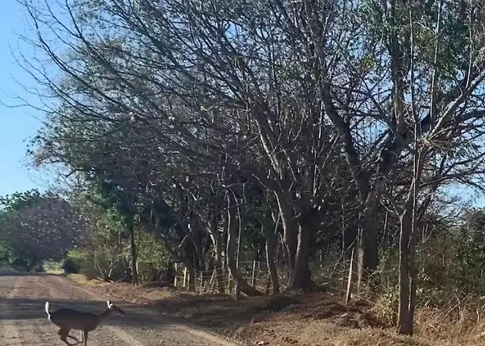 Ebk Surf 1 Santa Cruz (Guanacaste)