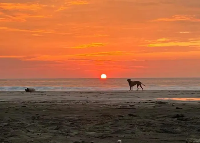 Ebk Surf 1 * Santa Cruz (Guanacaste)
