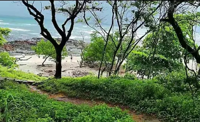 Ebk Surf 1 * Santa Cruz (Guanacaste)